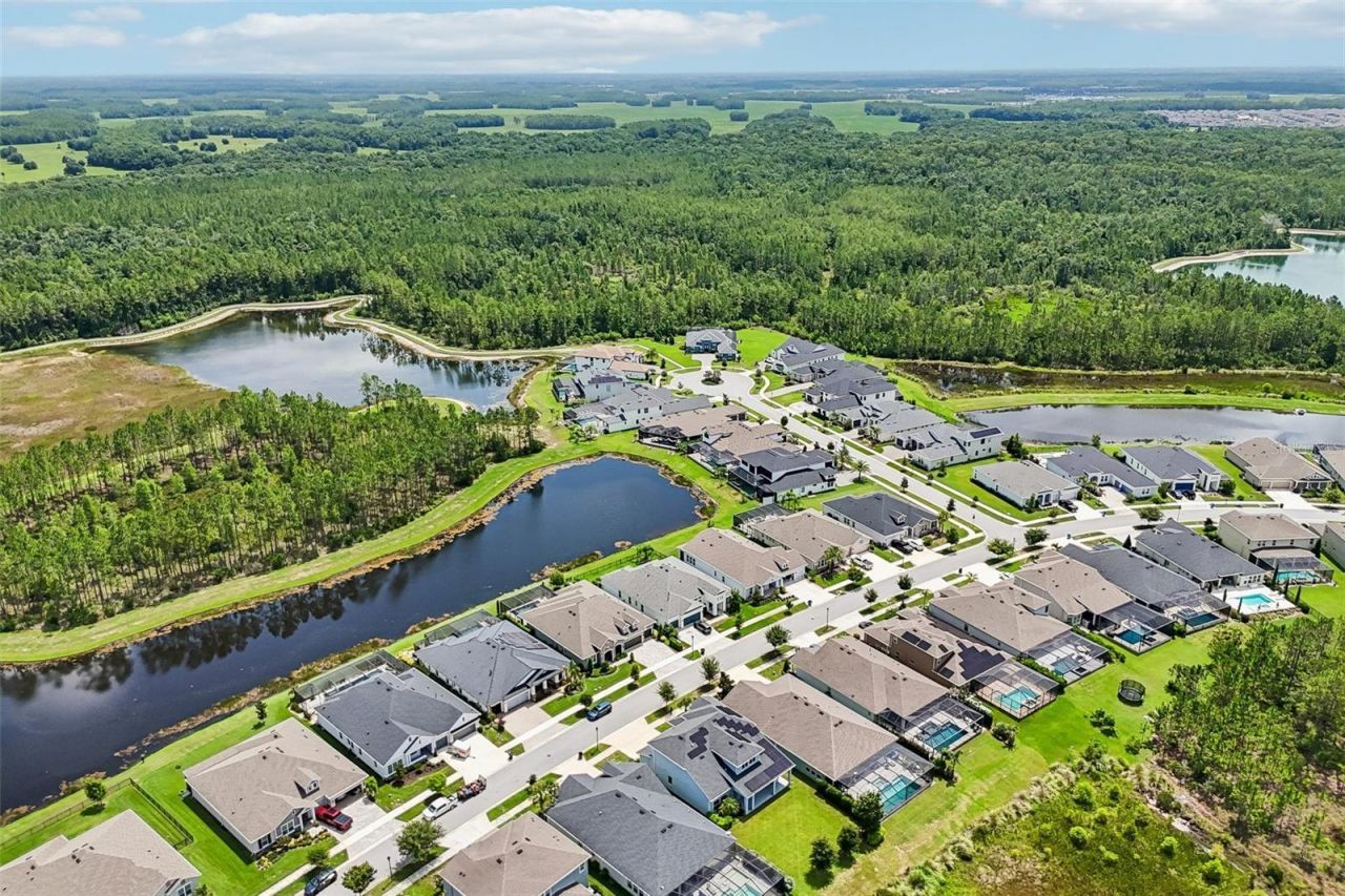3275 Tour Trace, Land O Lakes, FL 34638 Photo