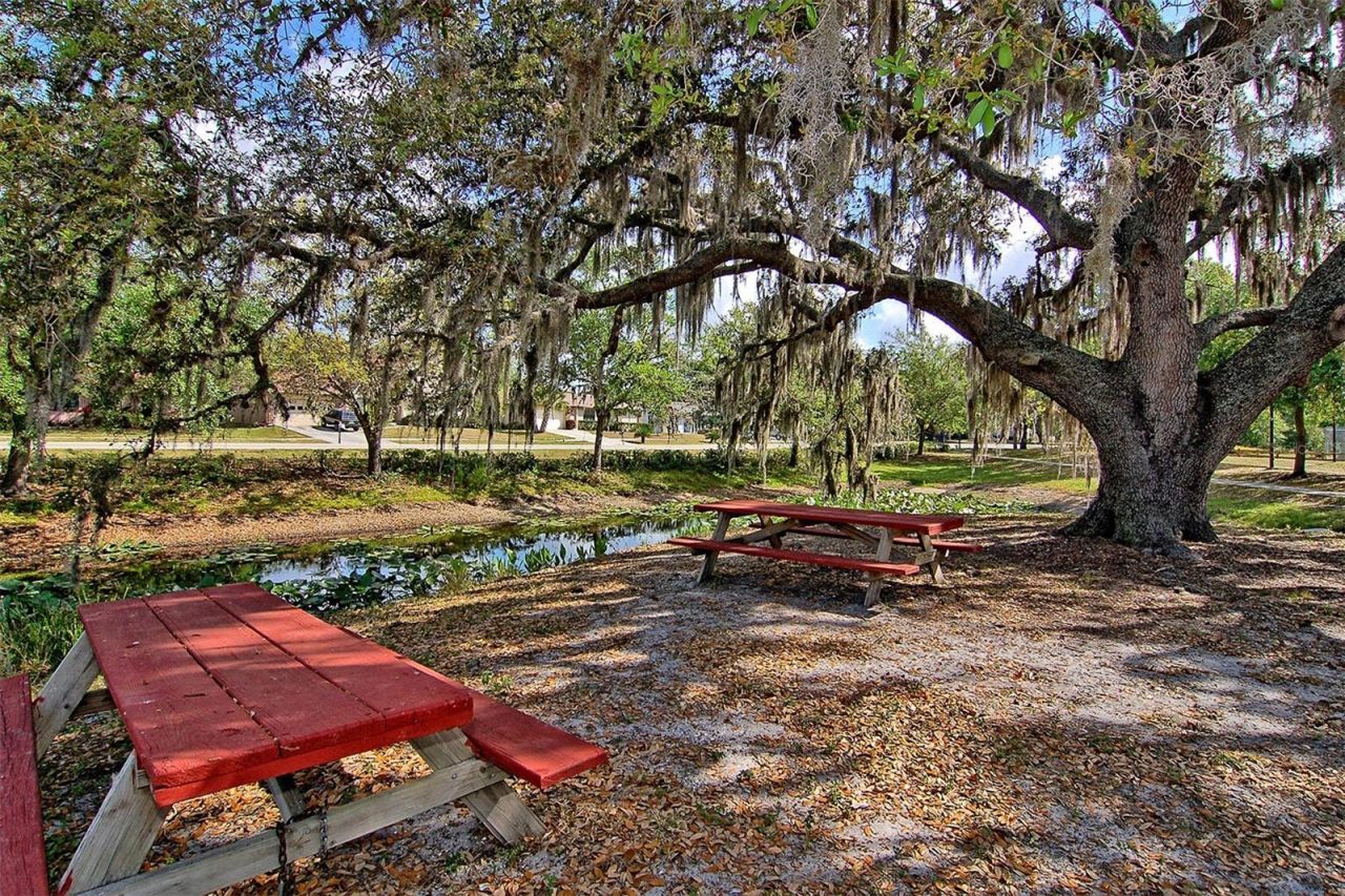 2481 S Scarlet Oak Court, Sarasota, FL 34232 Photo