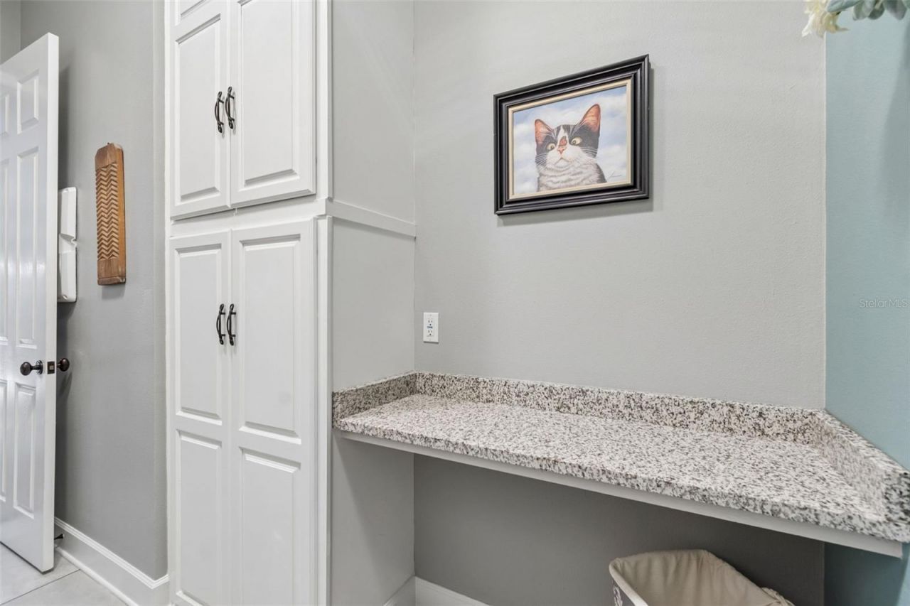 12716 Tradition Drive, Dade City, FL 33525 Photo