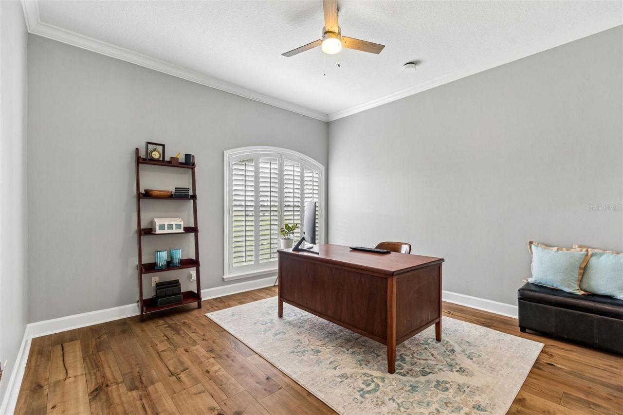 12716 Tradition Drive, Dade City, FL 33525 Photo