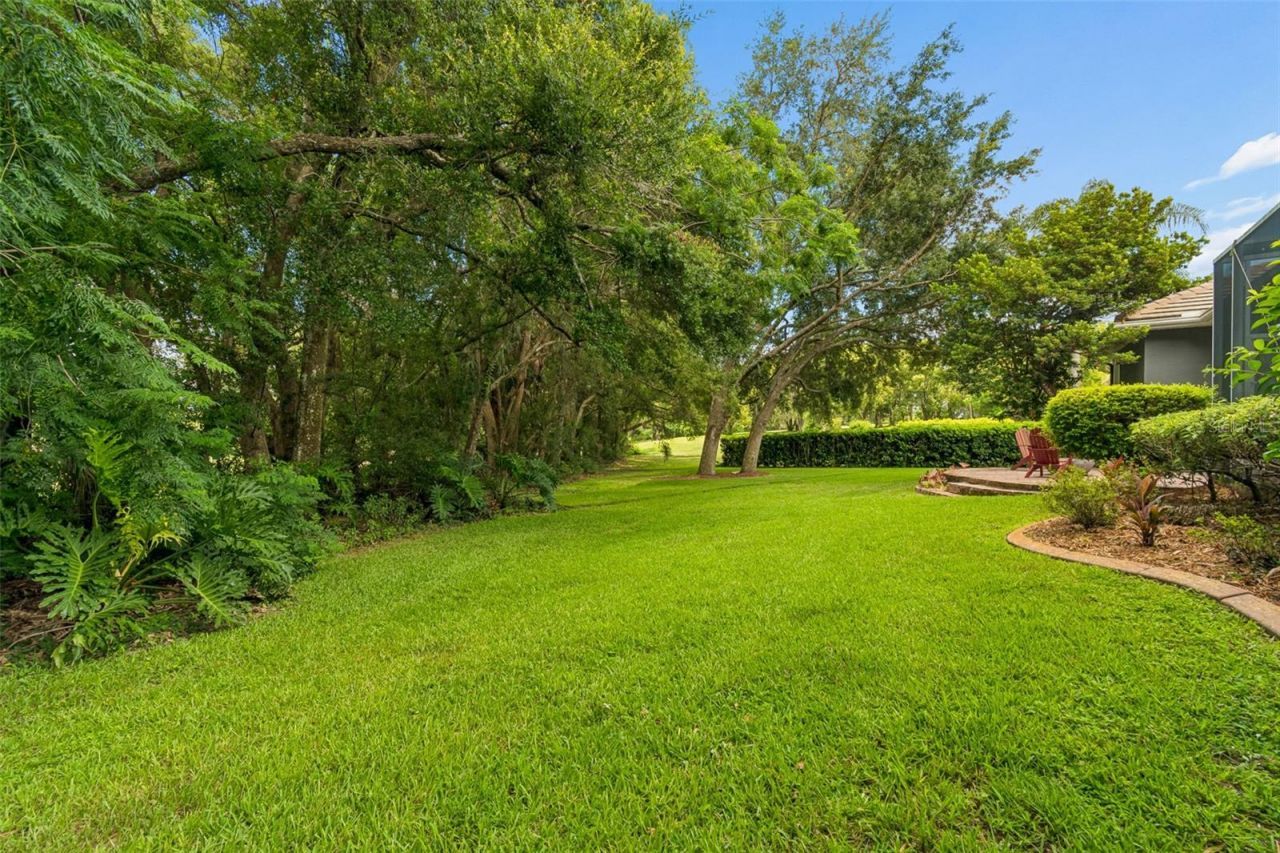 12716 Tradition Drive, Dade City, FL 33525 Photo