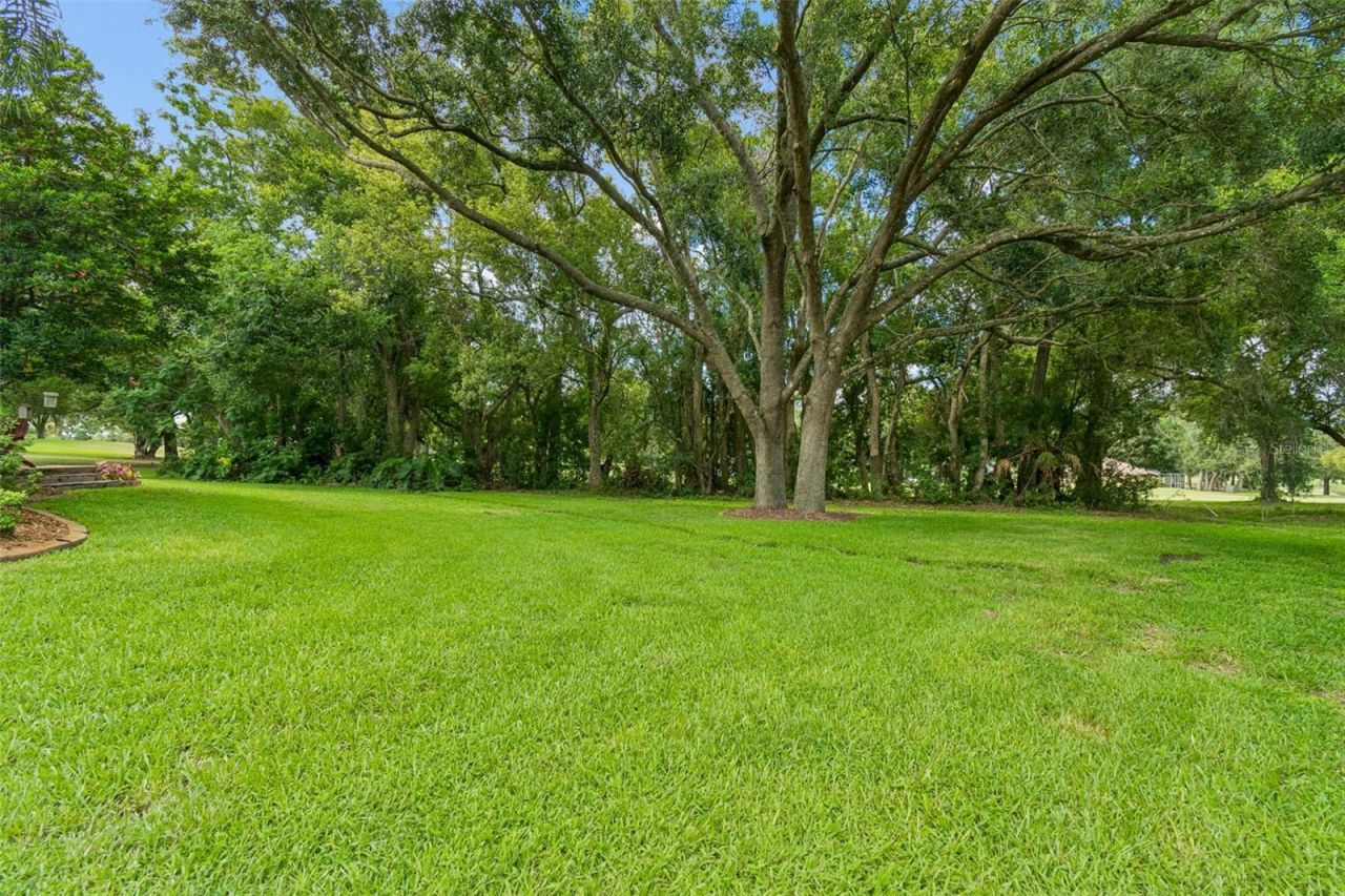 12716 Tradition Drive, Dade City, FL 33525 Photo