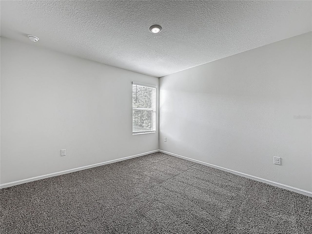 6214 Wild Mustang Trail, Jacksonville, FL 32234 Photo
