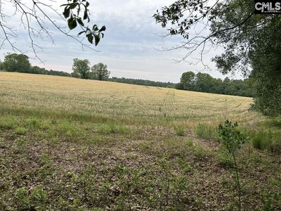 Bodie Road , Pelion, SC 29123