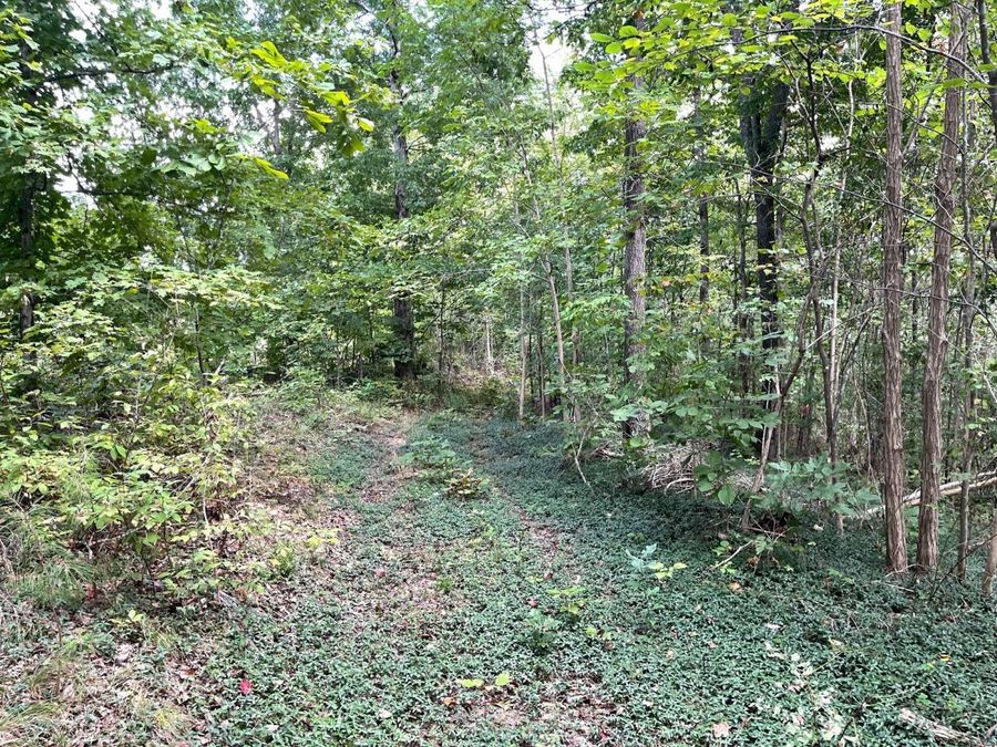 Property Image 17