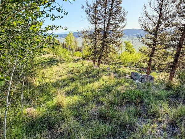4924 Middle Fork Vista , Fairplay, CO 80440