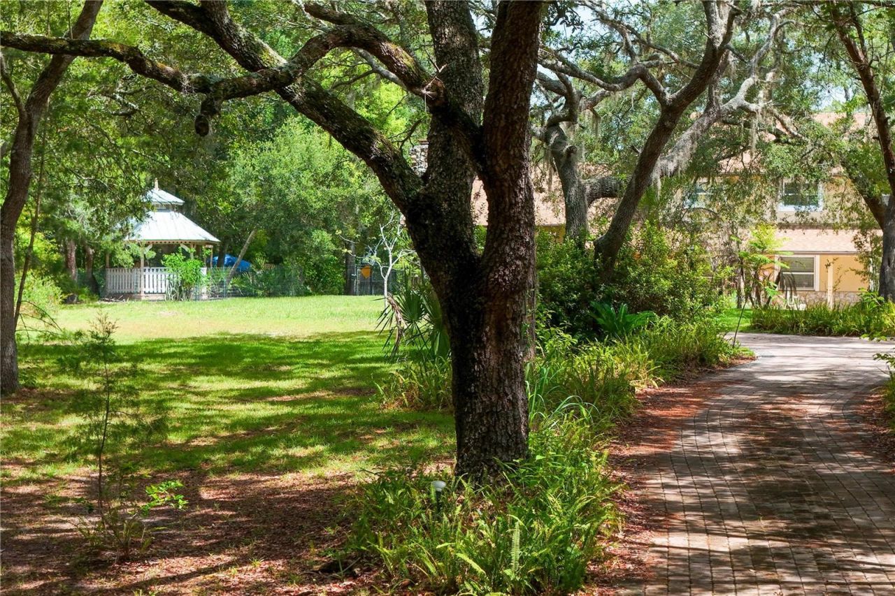 230 E Panama Road , Winter Springs, FL 32708 Photo