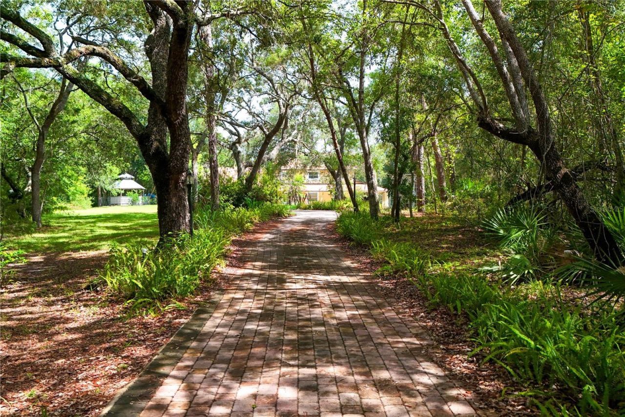 230 E Panama Road , Winter Springs, FL 32708 Photo