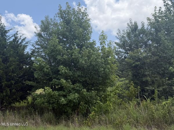 0 Kyle Road, Senatobia, MS 38668