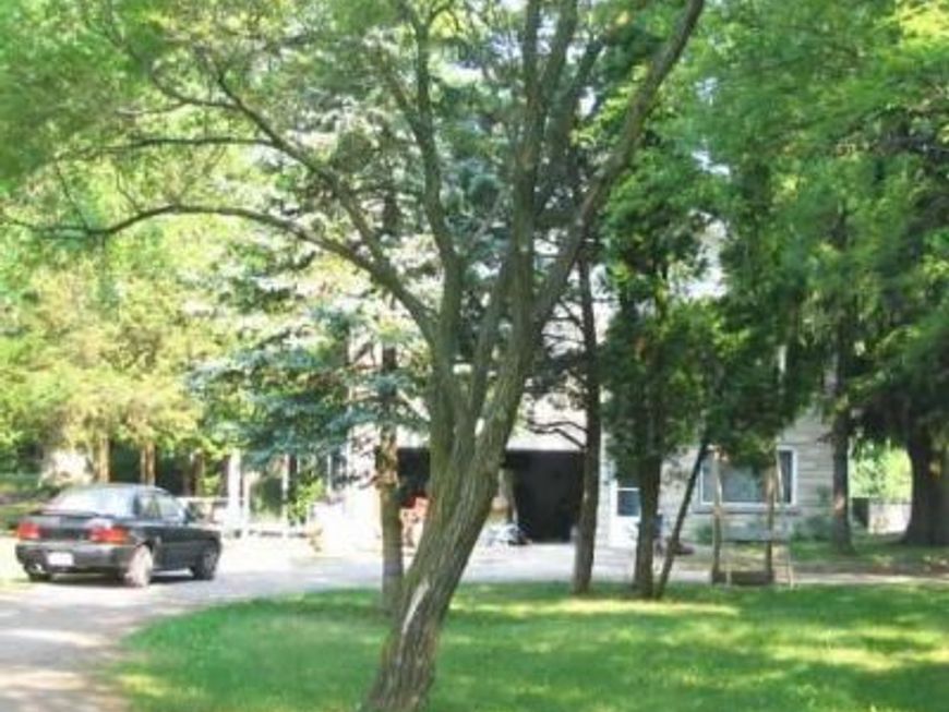 Main Photo