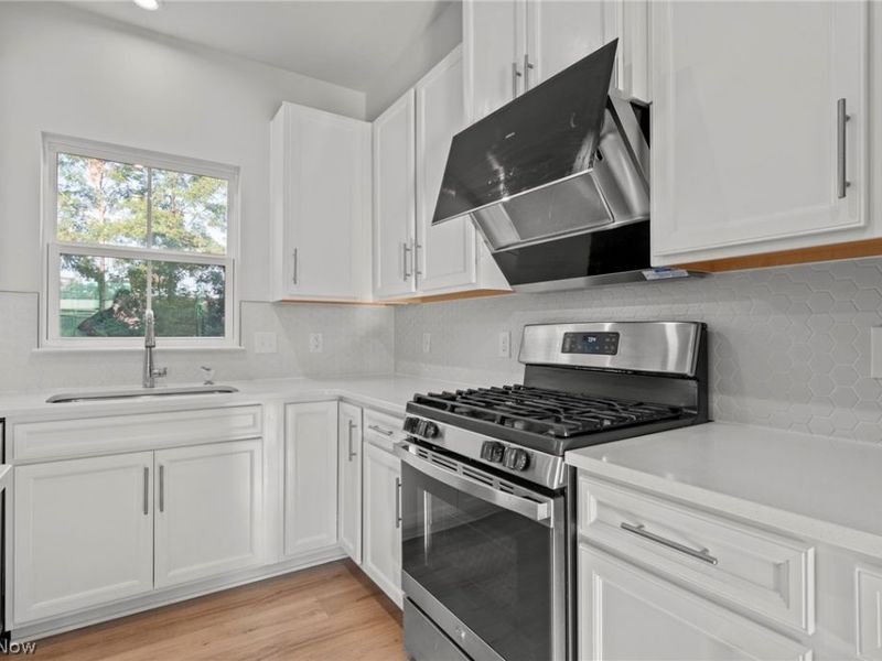 1377 Chateau Place, Avon, OH 44011 Photo 13