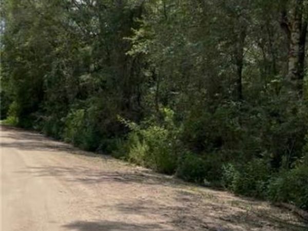 0 Leatherwood Drive , Theodore, AL 36582