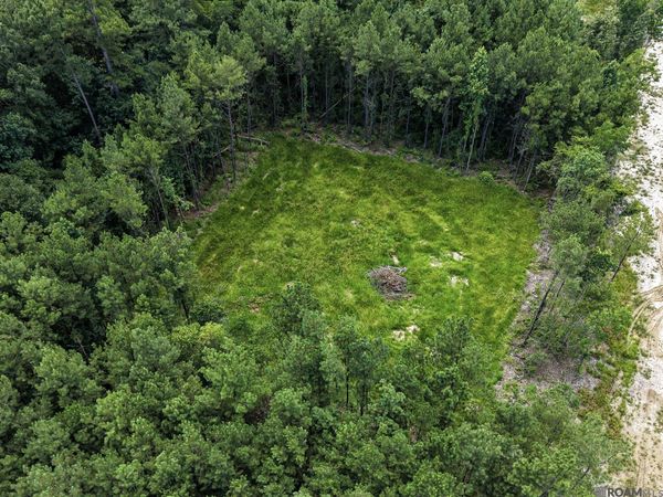 17249 Jack Allen Rd, Livingston, LA 70754