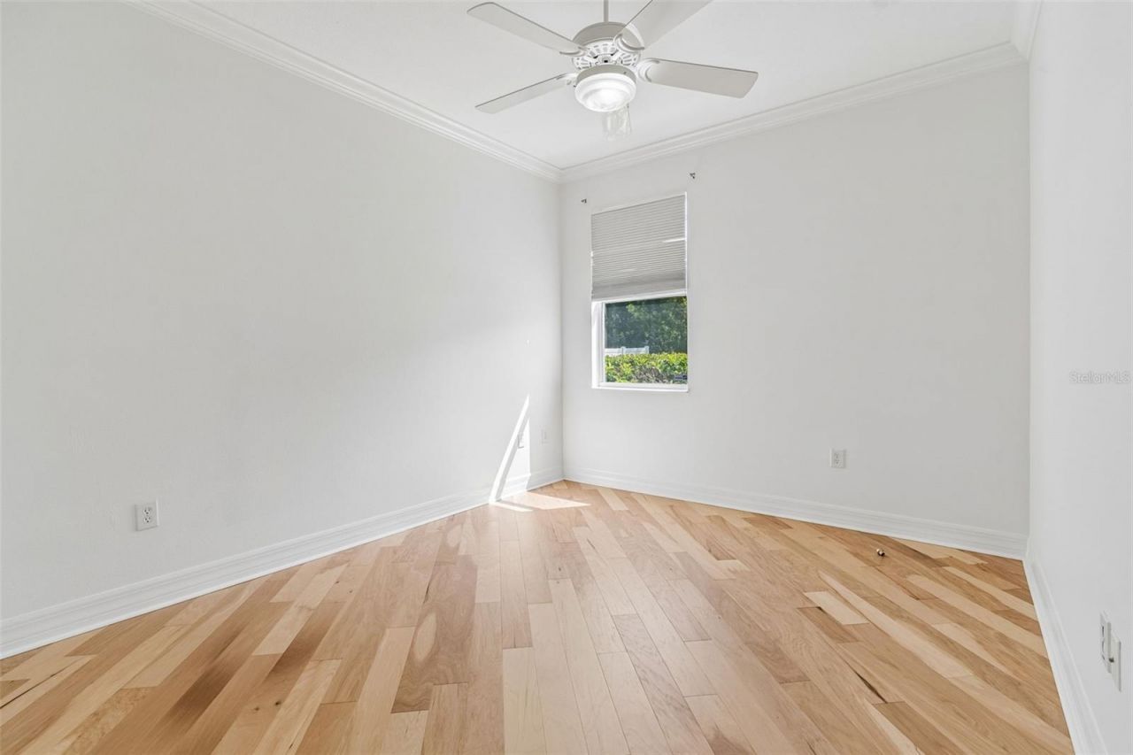 5304 Clouds Peak Drive, Lutz, FL 33558 Photo