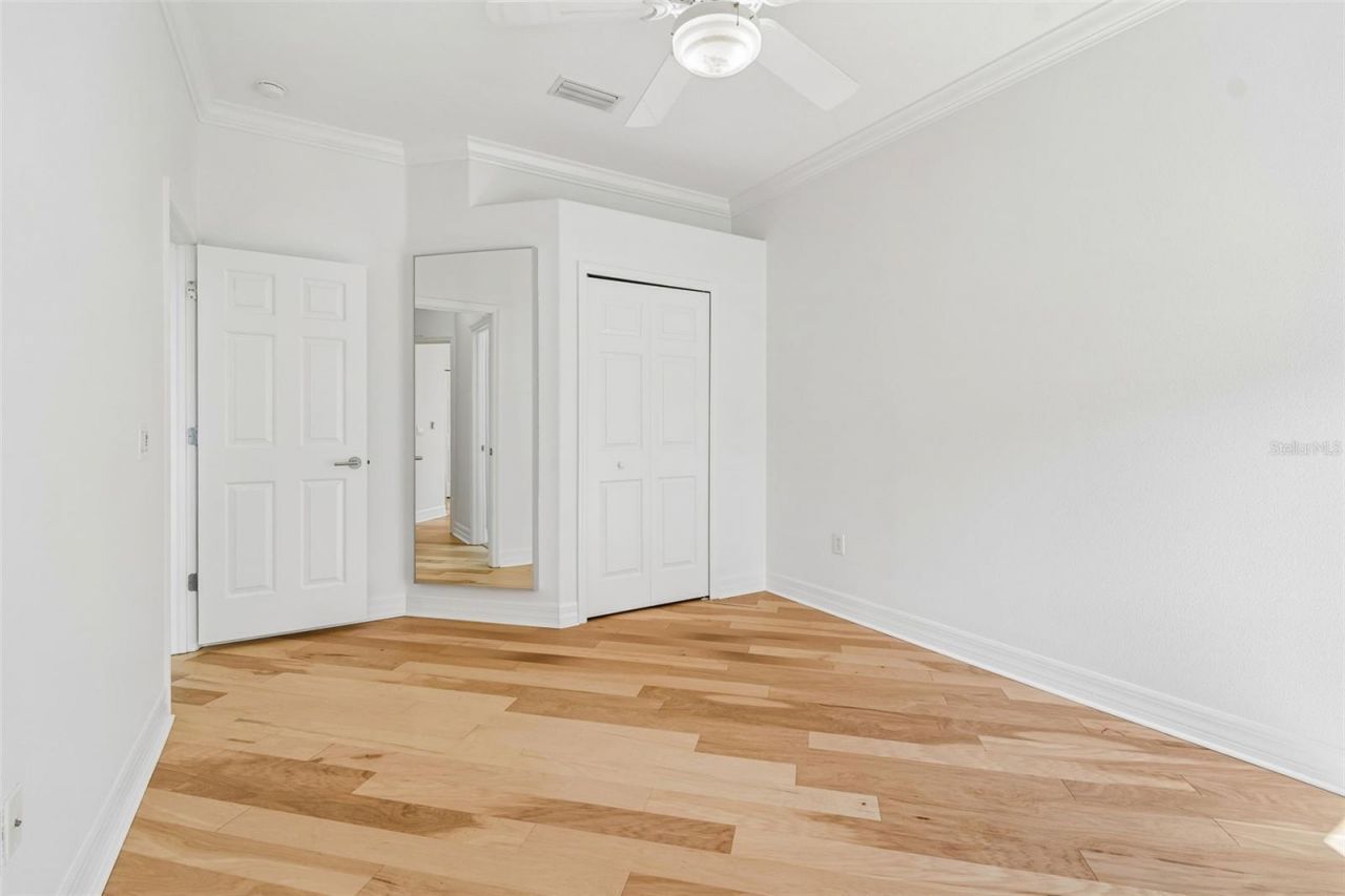 5304 Clouds Peak Drive, Lutz, FL 33558 Photo