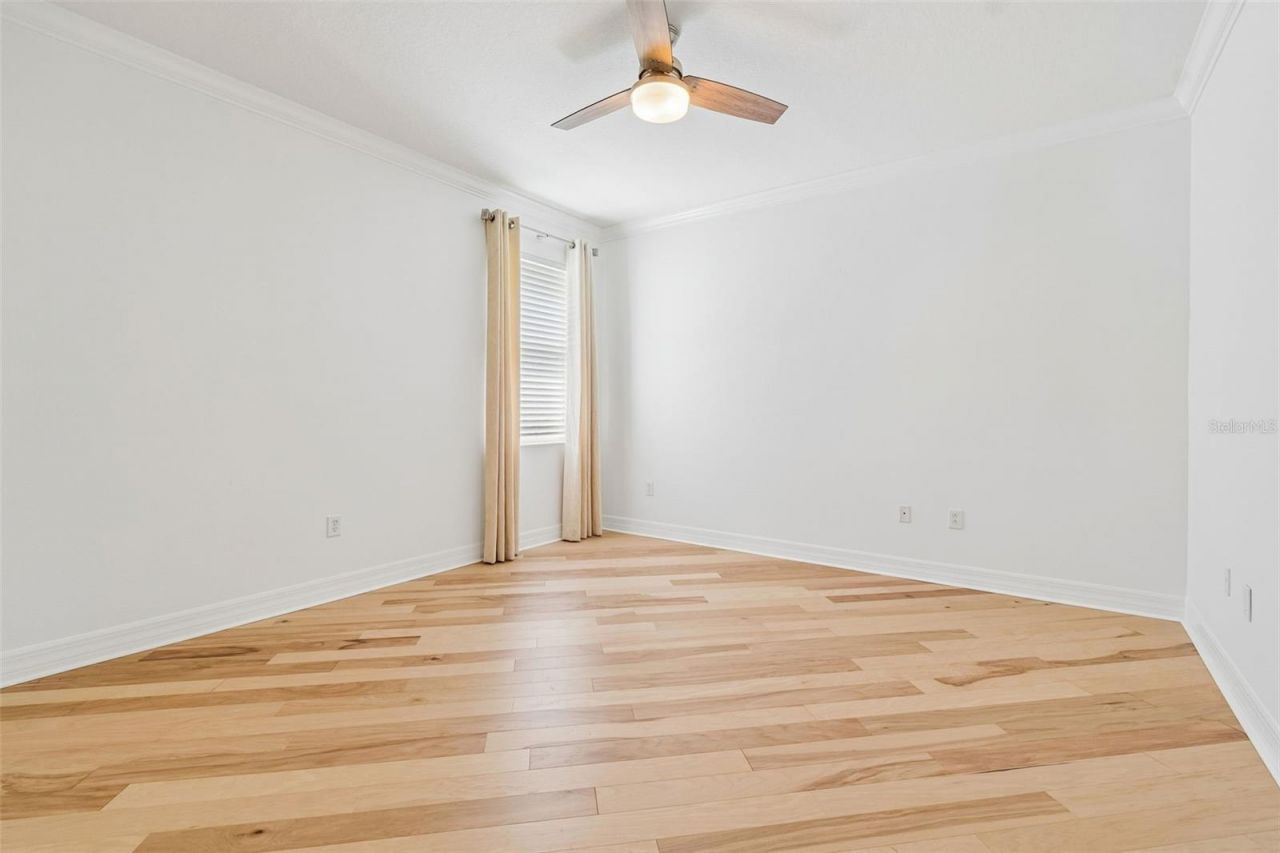 5304 Clouds Peak Drive, Lutz, FL 33558 Photo