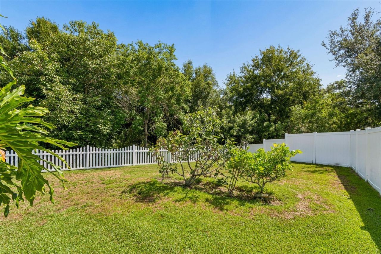 5304 Clouds Peak Drive, Lutz, FL 33558 Photo