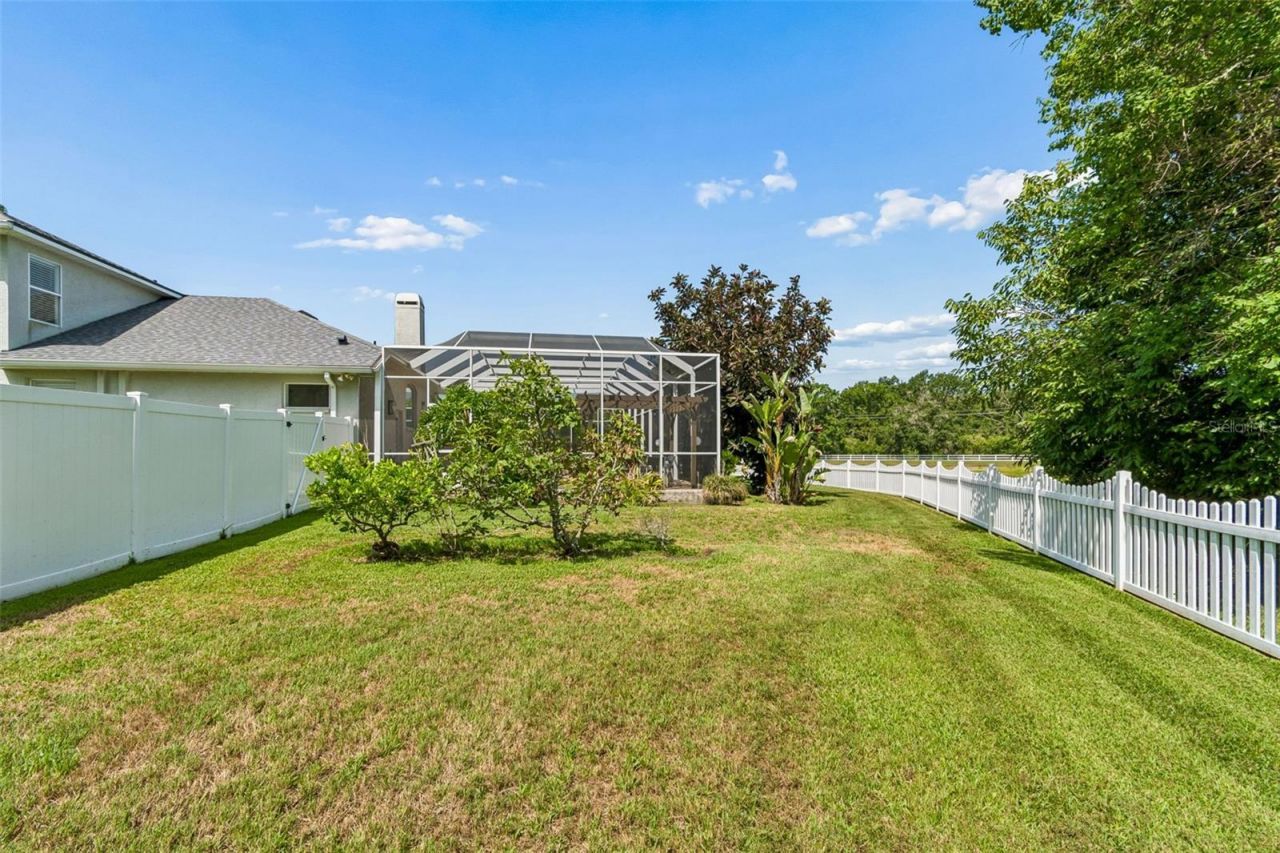 5304 Clouds Peak Drive, Lutz, FL 33558 Photo