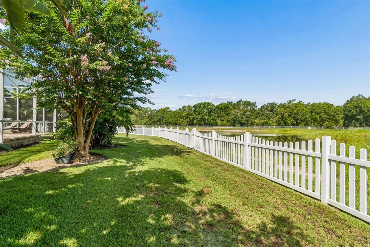 5304 Clouds Peak Drive, Lutz, FL 33558 Photo