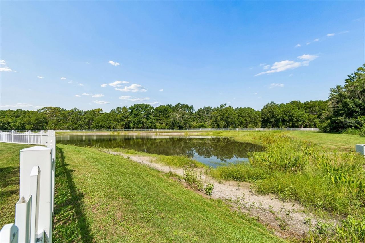 5304 Clouds Peak Drive, Lutz, FL 33558 Photo