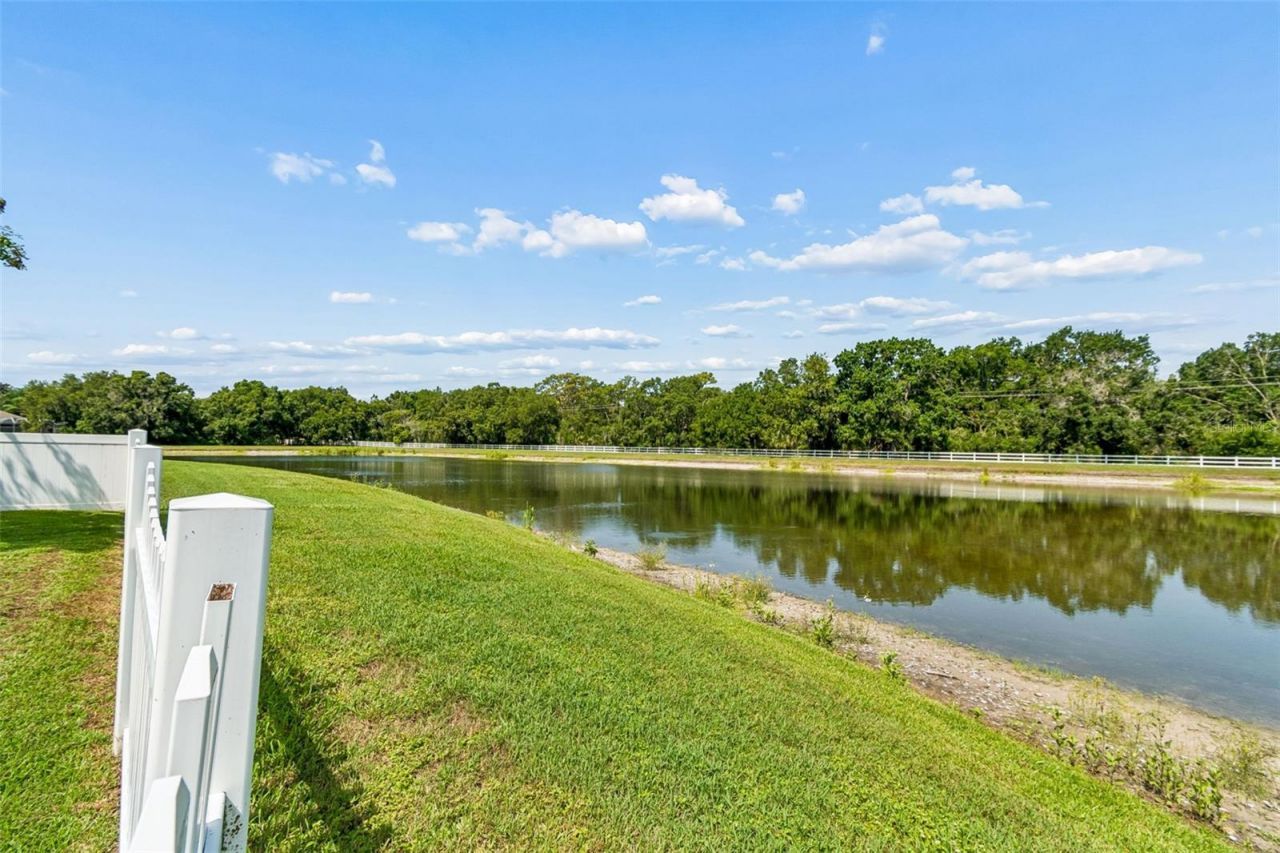 5304 Clouds Peak Drive, Lutz, FL 33558 Photo