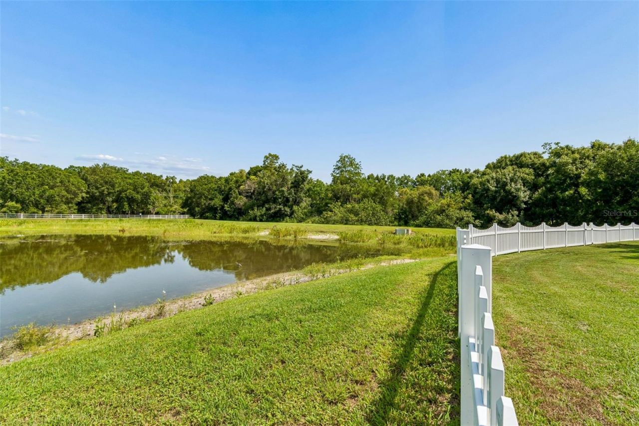 5304 Clouds Peak Drive, Lutz, FL 33558 Photo