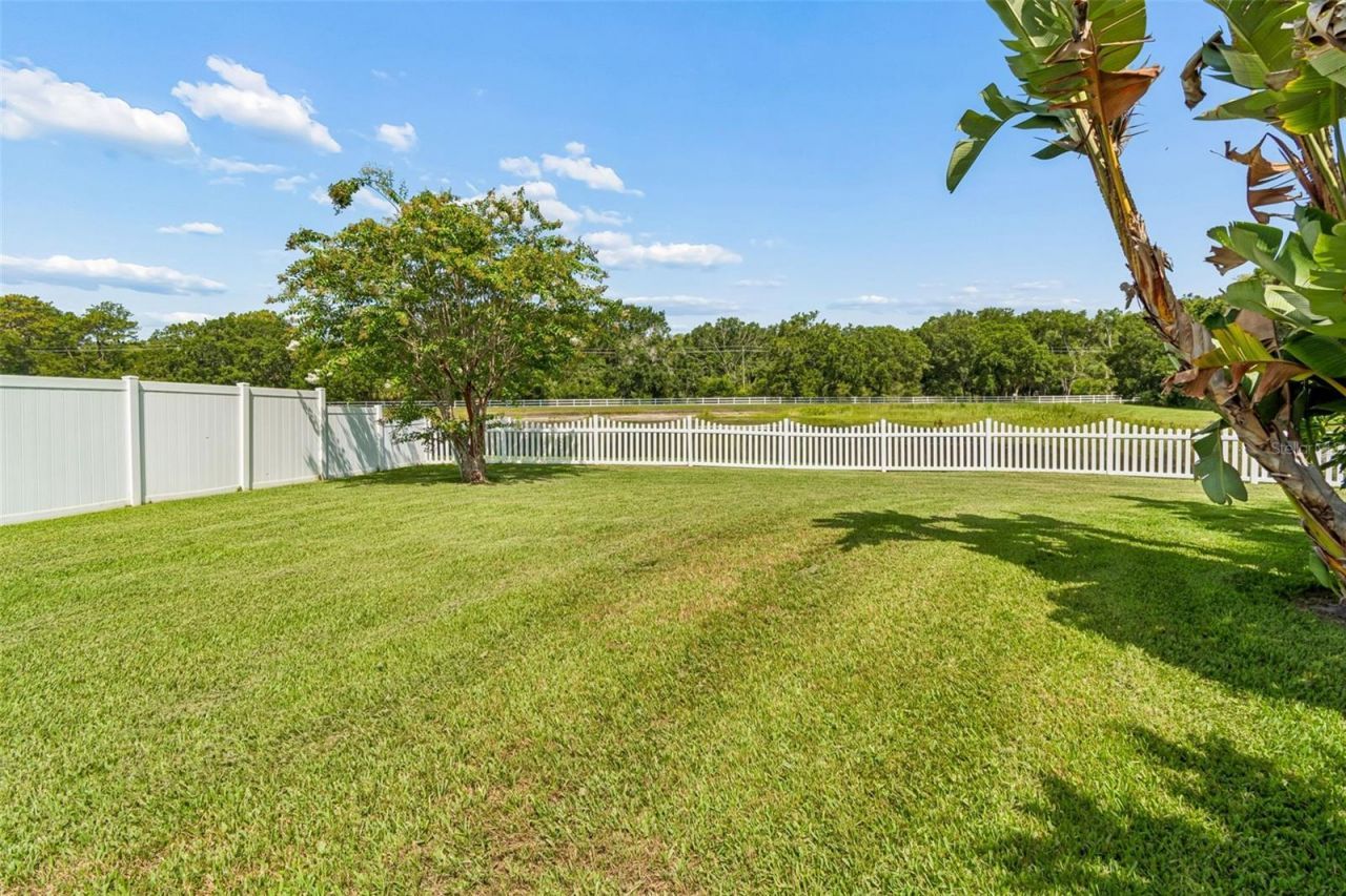 5304 Clouds Peak Drive, Lutz, FL 33558 Photo