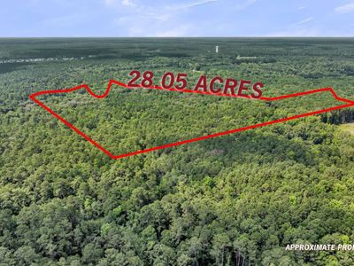 0 Canewood Lane, Ridgeville, SC 29472