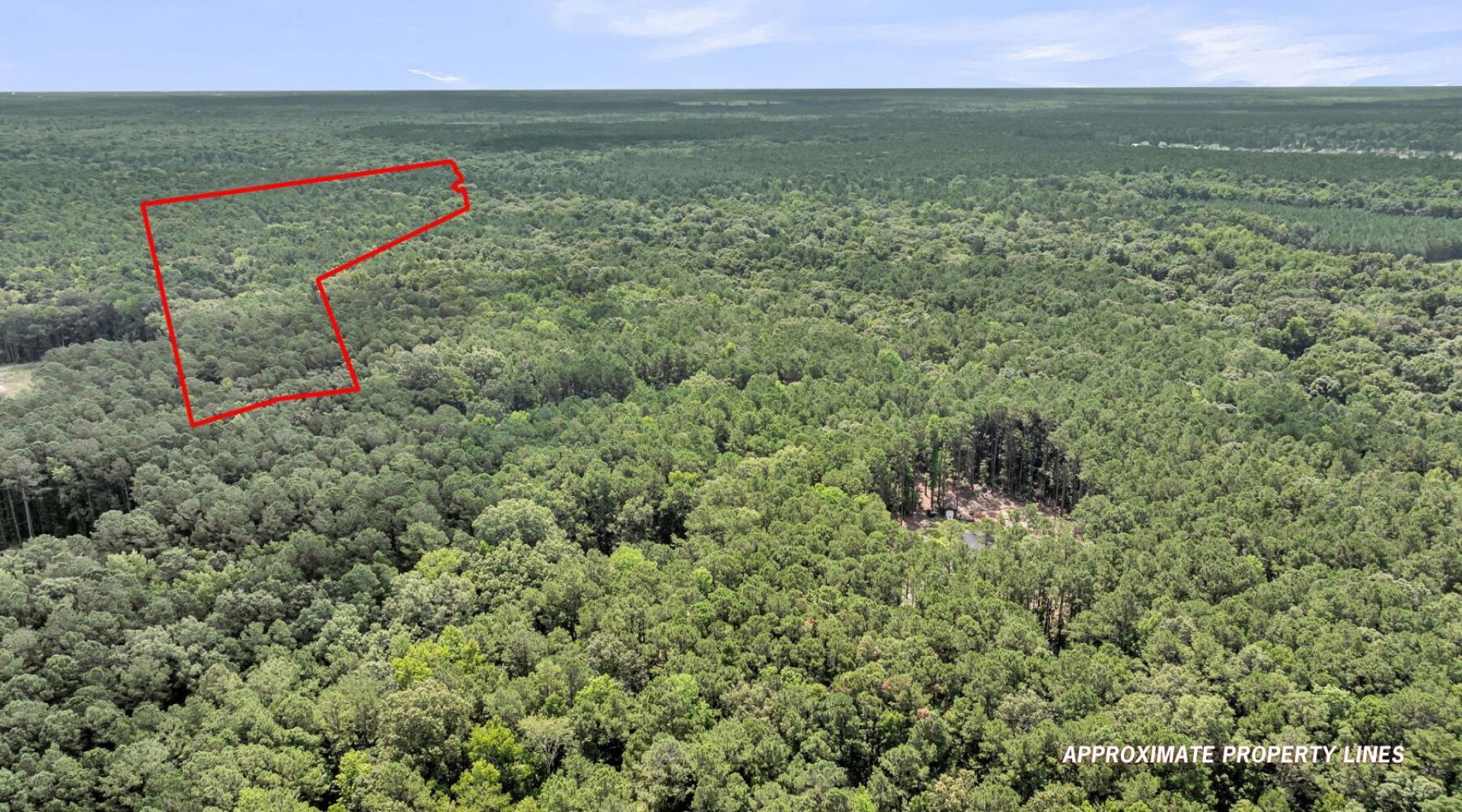 0 Canewood Lane Photo 14