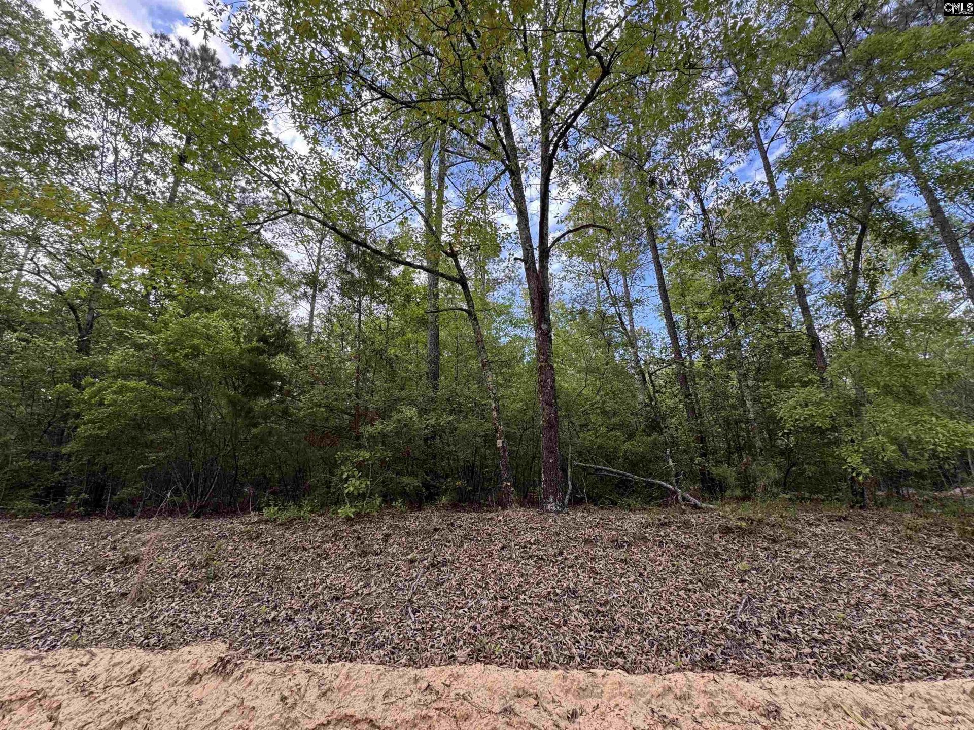 1465 6 Highway  Photo 15