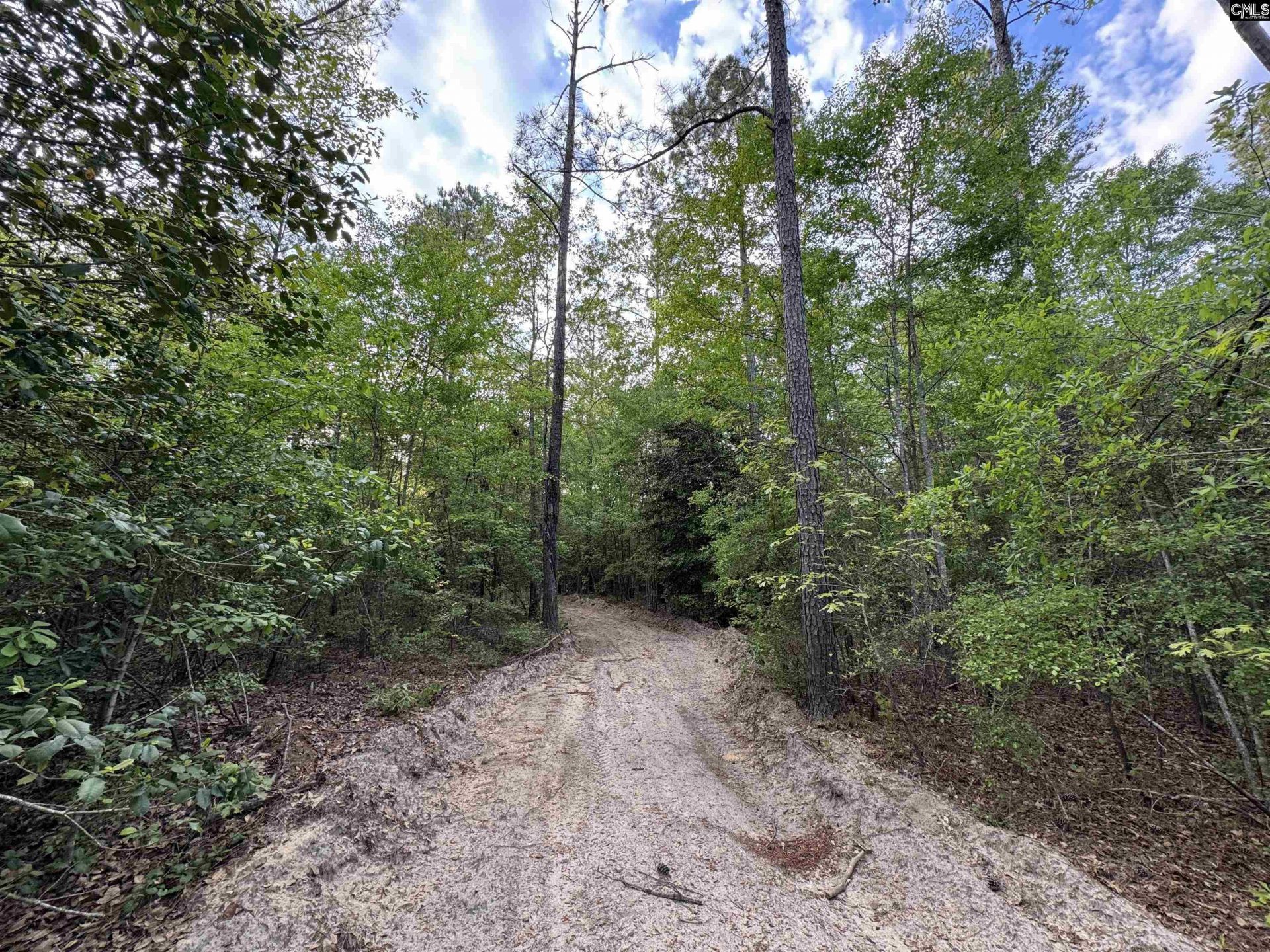 1465 6 Highway  Photo 18