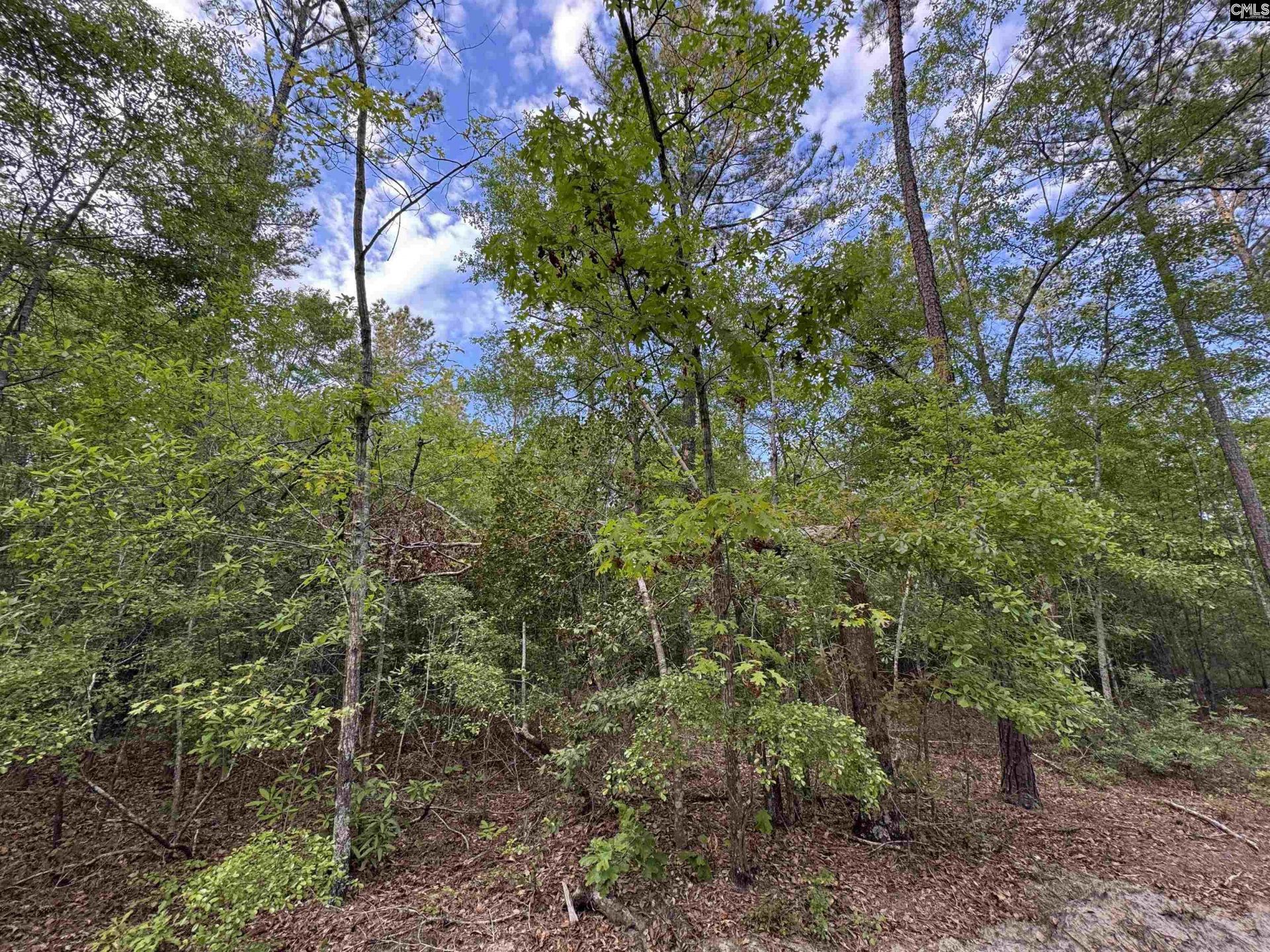 1465 6 Highway  Photo 19