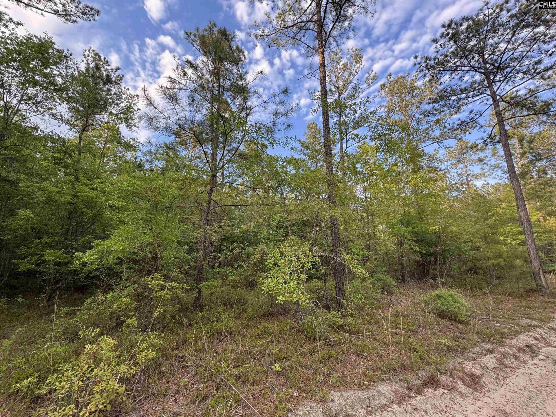 1465 6 Highway  Photo 20