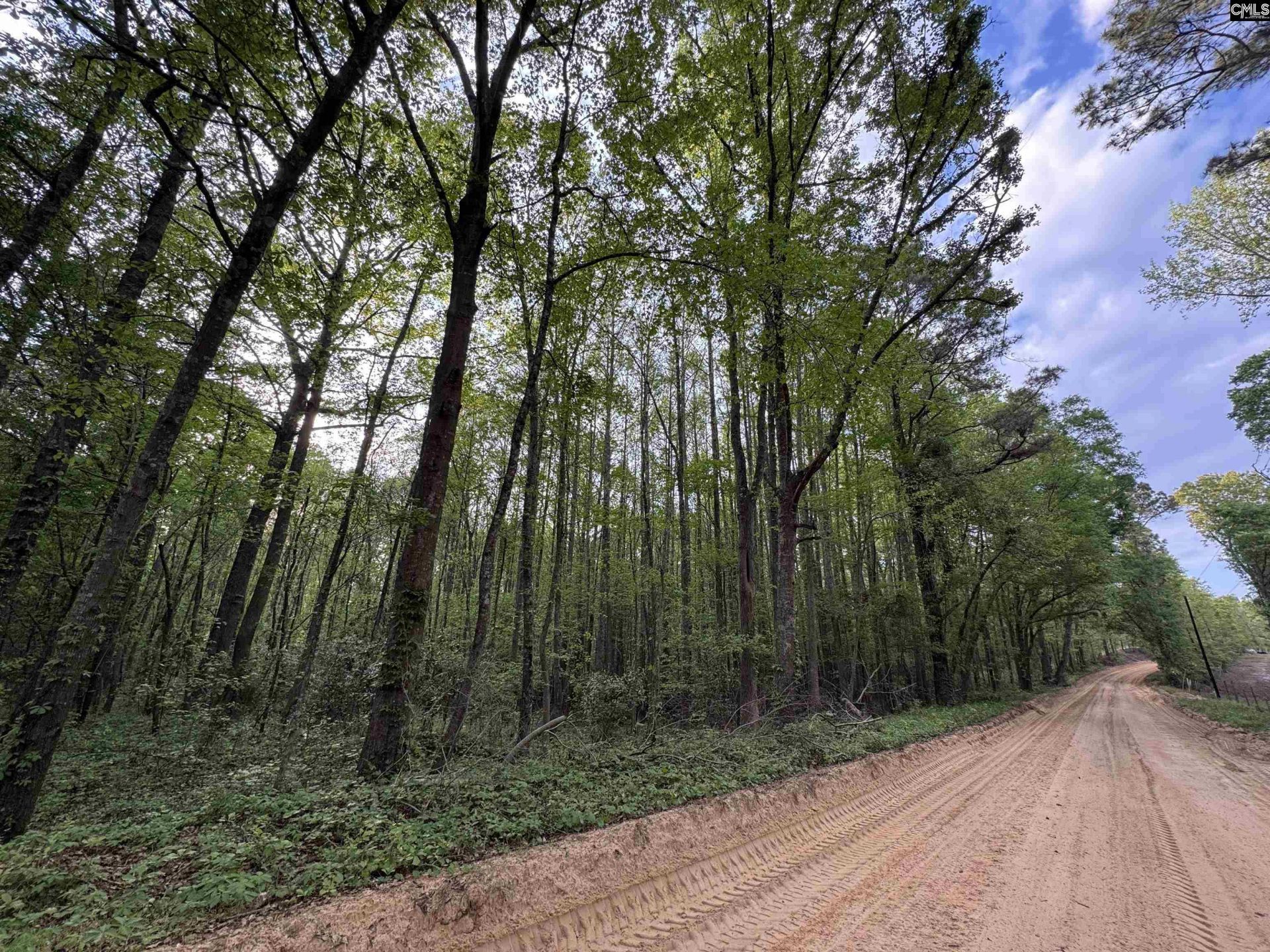 1465 6 Highway  Photo 42