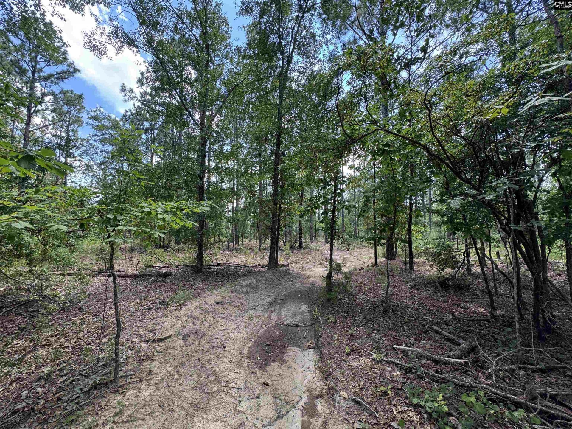 1465 6 Highway  Photo 75