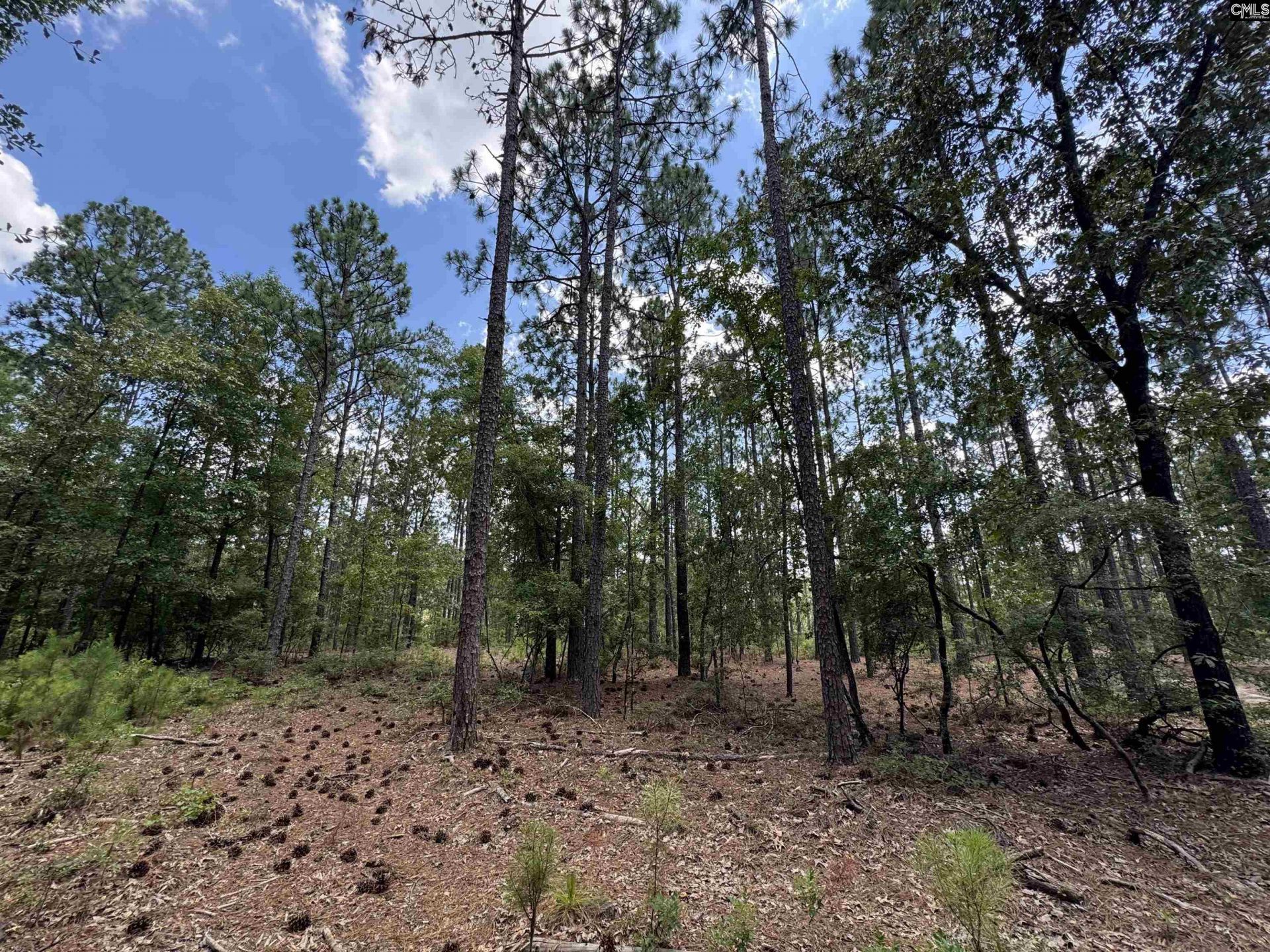 1465 6 Highway  Photo 76