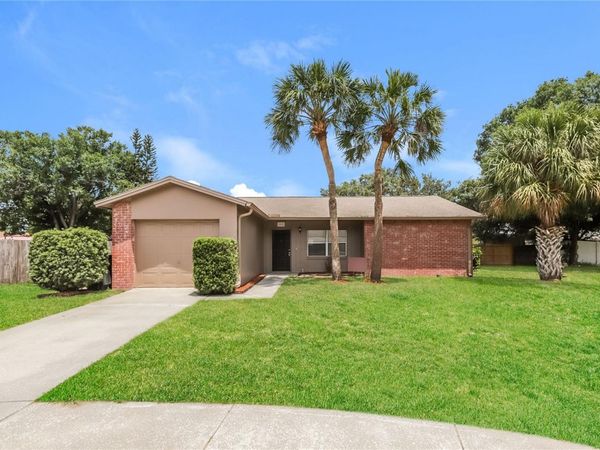 1002 PINEHAVEN COURT , BRANDON, FL 33511
