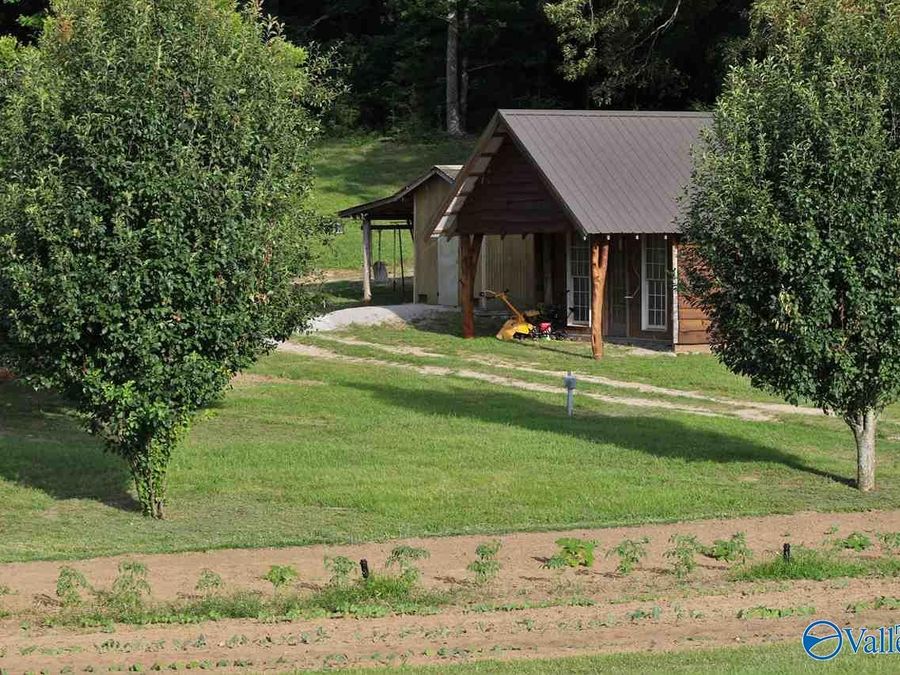 Property Image 12