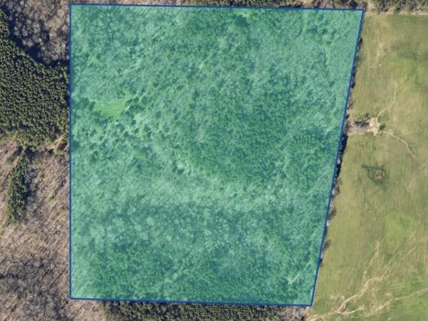 36 Acres County Road 560, Moulton, AL 35650