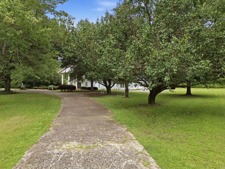 Property Image 81