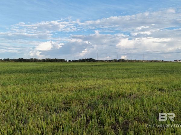 0 County Road 26 Lot #8, Foley, AL 36525