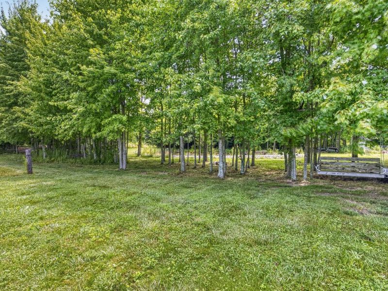 197 Weisflock Road, Jefferson Twp, OH 45142 Photo 45
