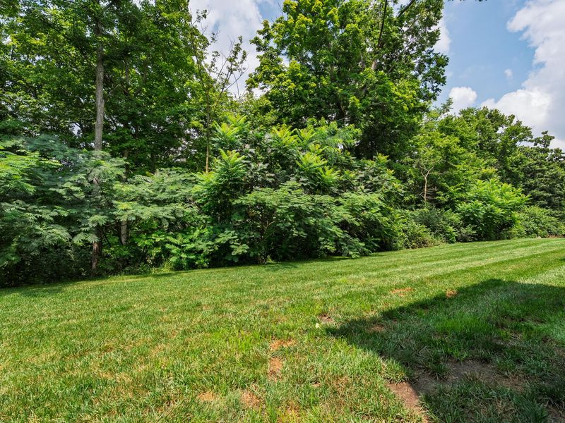 2233 Piazza Ridge, Covington, KY 41017 Photo 21