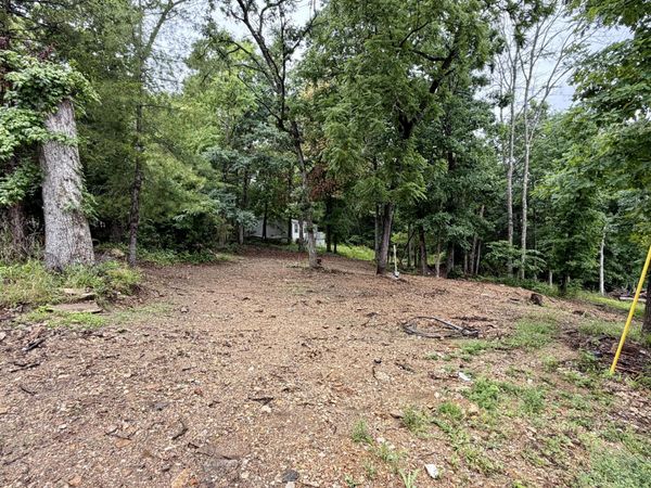 817 Taneycomo Road , Branson, MO 65616