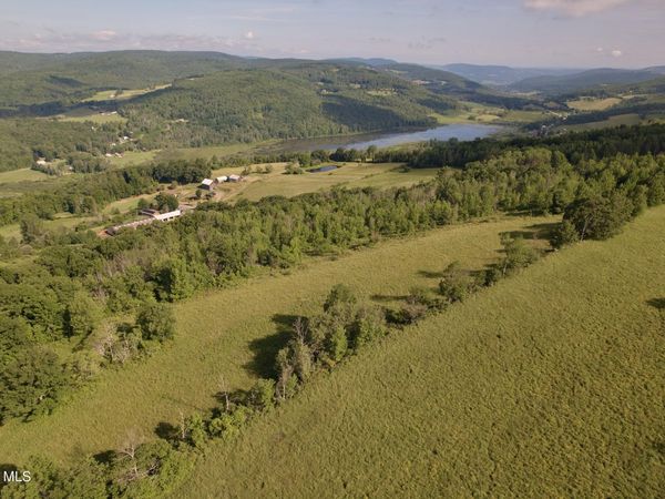 L-11 Earls Road, Middleburgh, NY 12122