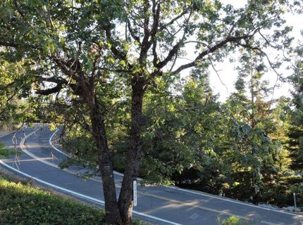 23380 Tokayana Way, Colfax, CA 95713 Photo