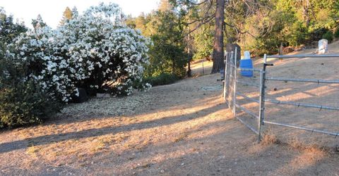 23380 Tokayana Way, Colfax, CA 95713 Photo