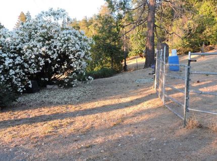 23380 Tokayana Way, Colfax, CA 95713 Photo