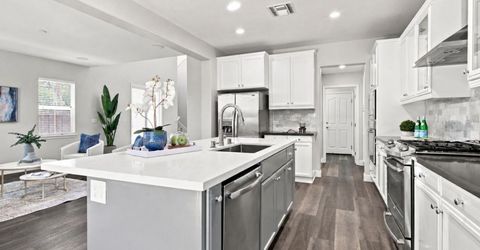 248 S Pacifico St, Mountain House, CA 95391 Photo