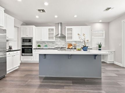 248 S Pacifico St, Mountain House, CA 95391 Photo